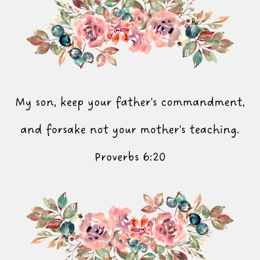 Proverbs 6:20