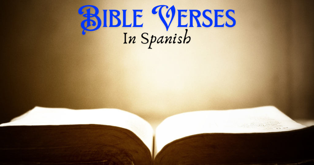 Bible Verses In Spanish With English Translation